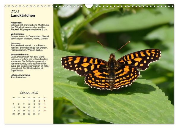 Produktbild: Insekt des Jahres (Wandkalender 2026 DIN A3 quer), CALVENDO Monatskalender