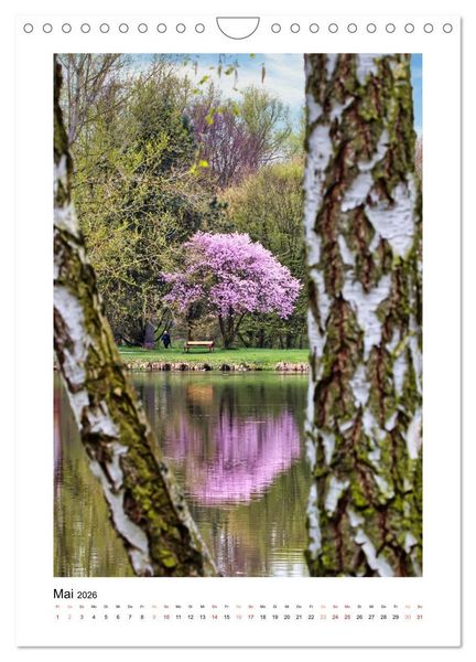 Produktbild: Mein Steinertsee (Wandkalender 2026 DIN A4 hoch), CALVENDO Monatskalender