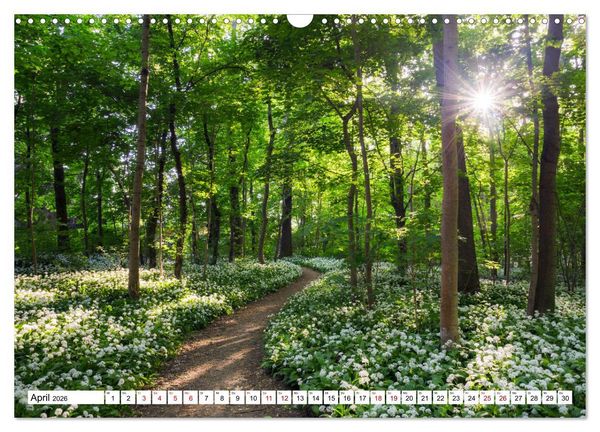Produktbild: Sonnige Augenblicke (Wandkalender 2026 DIN A3 quer), CALVENDO Monatskalender