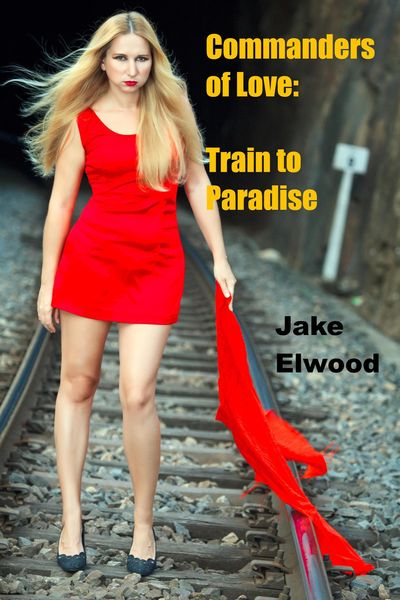 Produktbild: The Train to Paradise (Commanders of Love)