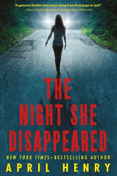 Produktbild: The Night She Disappeared