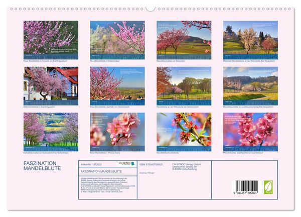 Produktbild: FASZINATION MANDELBL&Uuml;TE (hochwertiger Premium Wandkalender 2026 DIN A2 quer), Kunstdruck in Hochglanz