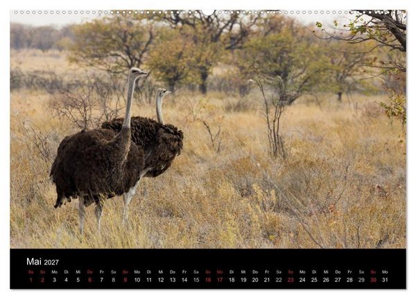 Produktbild: Wundersch&ouml;nes Namibia (Wandkalender 2027 DIN A2 quer), CALVENDO Monatskalender