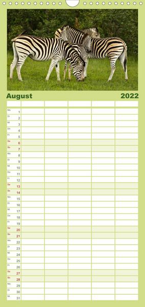 Produktbild: Familienplaner Zebras - Faszination der Wildnis (Wandkalender 2022 , 21 cm x 45 cm, hoch)