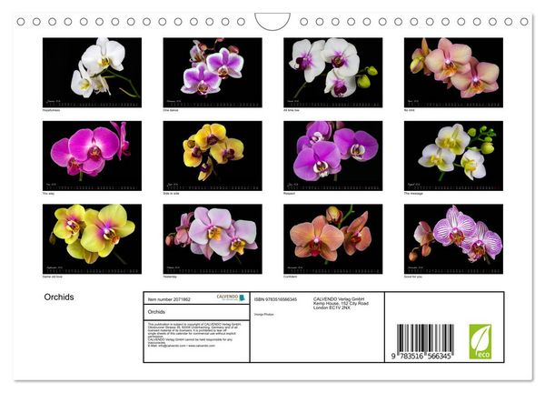 Produktbild: Orchids (Wall Calendar 2026 DIN A4 landscape), CALVENDO 12 Month Wall Calendar