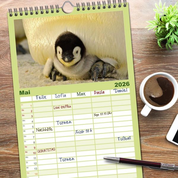 Produktbild: Familienplaner 2026 - Pinguine - Watscheln im festlichen Kleid mit 5 Spalten (Wandkalender, 21 x 45 cm) CALVENDO