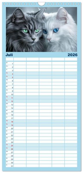 Produktbild: Familienplaner 2026 - Katzen Illustrationen - Faszination pur mit 5 Spalten (Wandkalender, 21 x 45 cm) CALVENDO