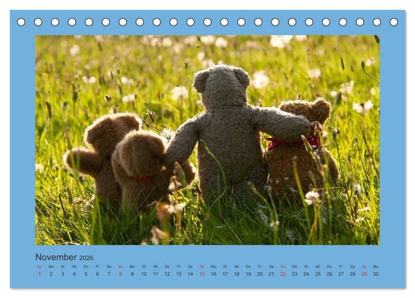 Produktbild: Teddys Meine Freunde (Tischkalender 2026 DIN A5 quer), CALVENDO Monatskalender