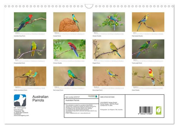 Produktbild: Australian Parrots (Wall Calendar 2026 DIN A3 landscape), CALVENDO 12 Month Wall Calendar