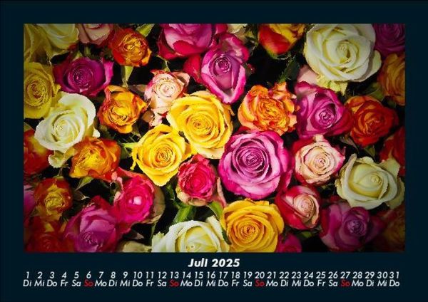 Produktbild: Rosen-Kalender 2025 Fotokalender DIN A5