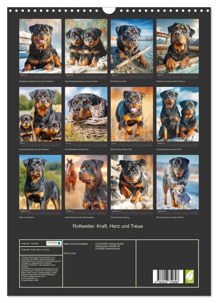 Produktbild: Rottweiler. Kraft, Herz und Treue (Wandkalender 2027 DIN A3 hoch), CALVENDO Monatskalender