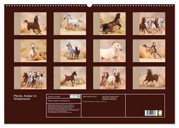 Produktbild: Pferde. Araber im W&uuml;stensand (Wandkalender 2026 DIN A2 quer), CALVENDO Monatskalender