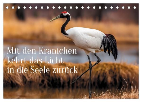 Produktbild: Mit den Kranichen kehrt das Licht in die Seele zur&uuml;ck (Tischkalender 2027 DIN A5 quer), CALVENDO Monatskalender
