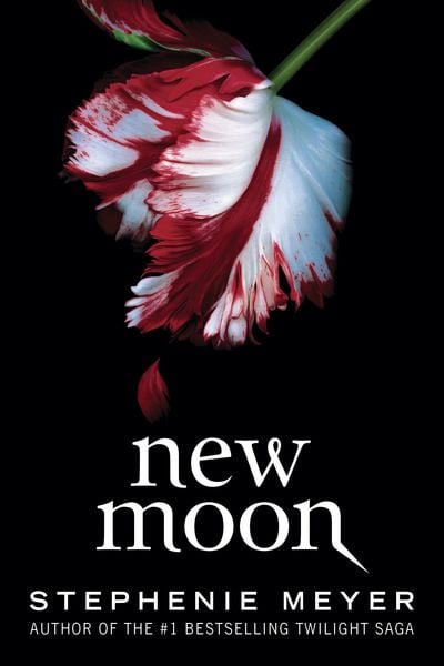 Produktbild: New Moon