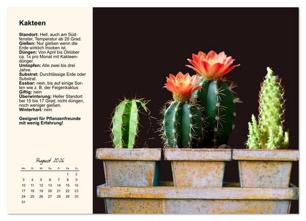Produktbild: Bestes Raumklima durch Zimmerpflanzen (Wandkalender 2026 DIN A2 quer), CALVENDO Monatskalender