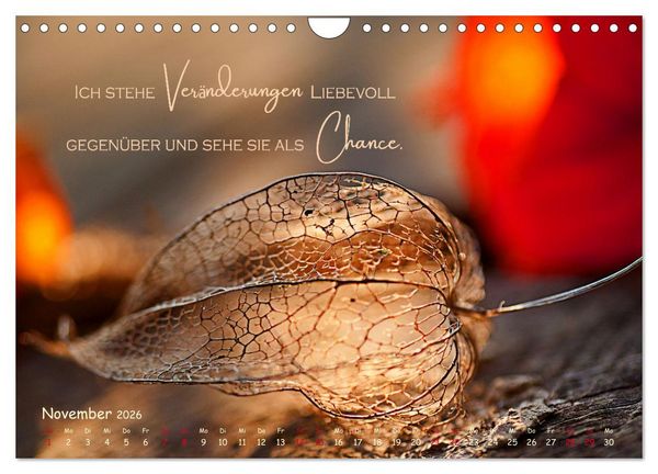 Produktbild: Weibliche Kraft - 12 Impulse zu deiner Wirksamkeit als Frau (Wandkalender 2026 DIN A4 quer), CALVENDO Monatskalender