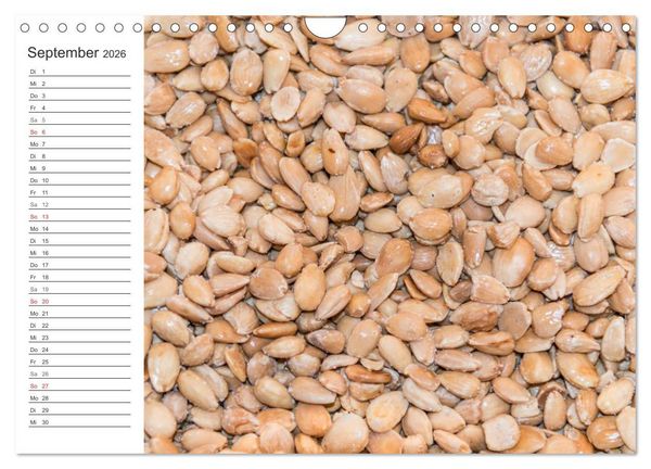 Produktbild: Emotionale Momente: Mandeln (Wandkalender 2026 DIN A4 quer), CALVENDO Monatskalender
