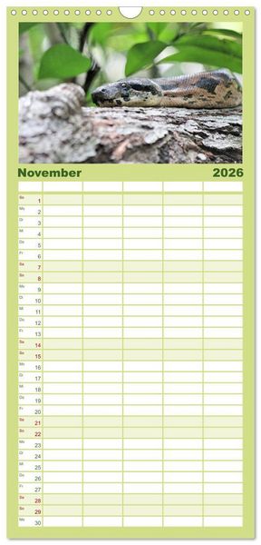 Produktbild: Familienplaner 2026 - Tiere Madagaskars mit 5 Spalten (Wandkalender, 21 x 45 cm) CALVENDO