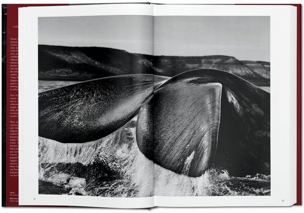 Produktbild: Sebasti&atilde;o Salgado. G&eacute;nesis