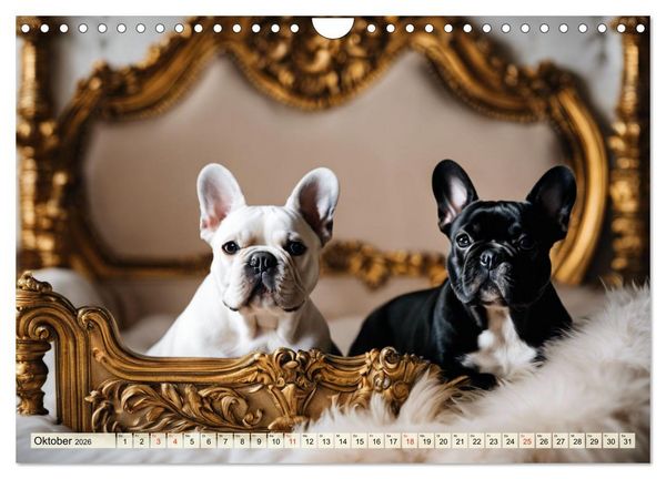 Produktbild: Kleine K&ouml;nige - Franz&ouml;sische Bulldoggen (Wandkalender 2026 DIN A4 quer), CALVENDO Monatskalender