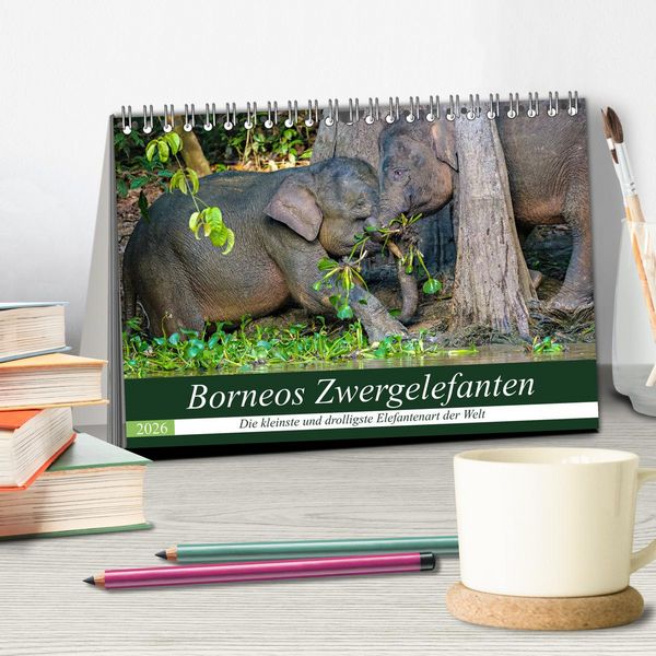 Produktbild: Borneos Zwergelefanten (Tischkalender 2026 DIN A5 quer), CALVENDO Monatskalender