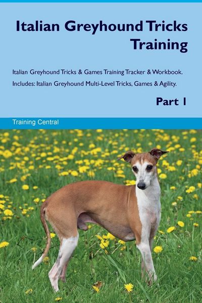 Produktbild: Italian Greyhound Tricks Training Italian Greyhound Tricks & Games Training Tracker & Workbook. Includes