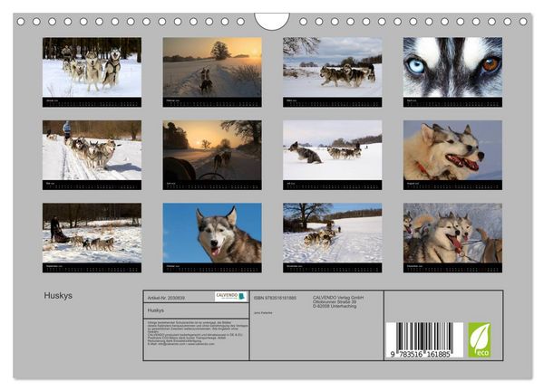 Produktbild: Huskys (Wandkalender 2026 DIN A4 quer), CALVENDO Monatskalender