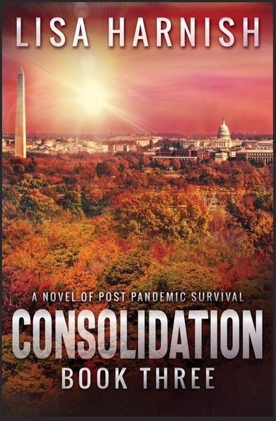 Produktbild: Consolidation