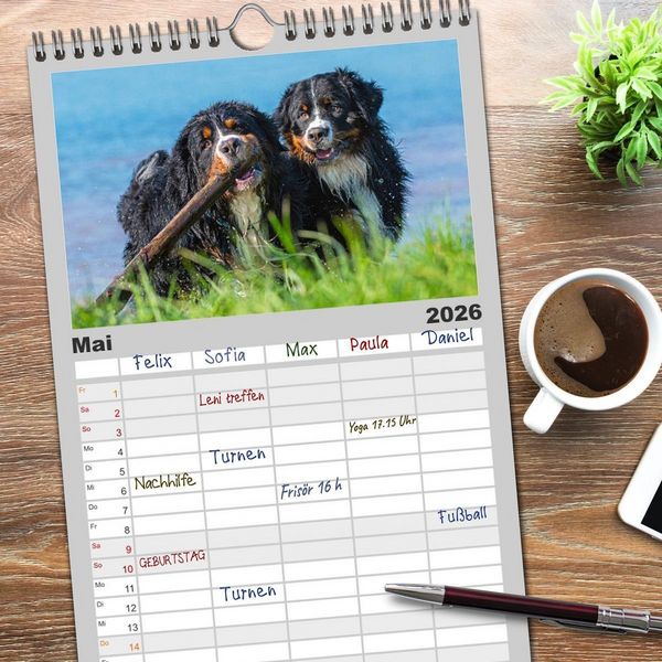Produktbild: Familienplaner 2026 - Schweizer Sennenhunde - aus den Schweizer Alpen mit 5 Spalten (Wandkalender, 21 x 45 cm) CALVENDO