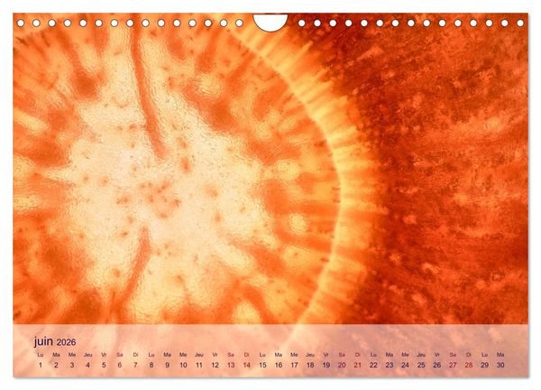 Produktbild: C&oelig;ur de fruits c&oelig;ur de l&eacute;gumes (Calendrier mural 2026 DIN A4 vertical), CALVENDO calendrier mensuel