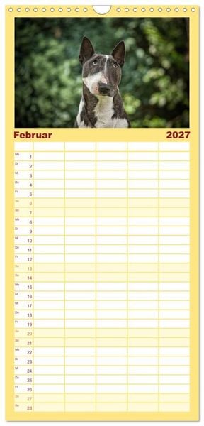 Produktbild: Familienplaner 2027 - Bullterrier mit 5 Spalten (Wandkalender, 21 x 45 cm) CALVENDO