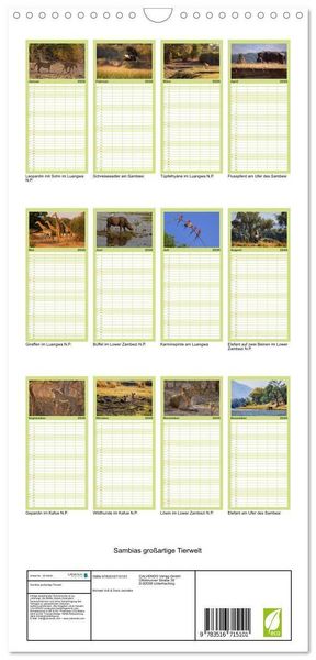 Produktbild: Familienplaner 2026 - Sambias gro&szlig;artige Tierwelt mit 5 Spalten (Wandkalender, 21 x 45 cm) CALVENDO