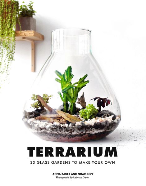 Produktbild: Terrarium