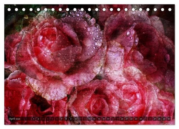 Produktbild: Gothic Rose - Rosen aus dem Garten der Finsternis (Tischkalender 2026 DIN A5 quer), CALVENDO Monatskalender