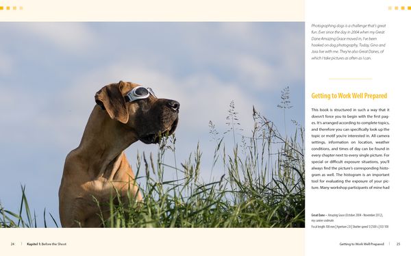 Produktbild: Dog Photography - Shooting with Bow "Wow" Effect