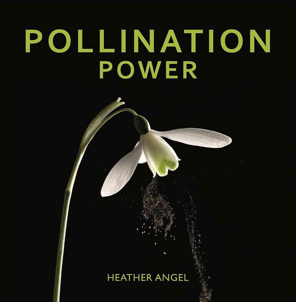 Produktbild: Pollination Power