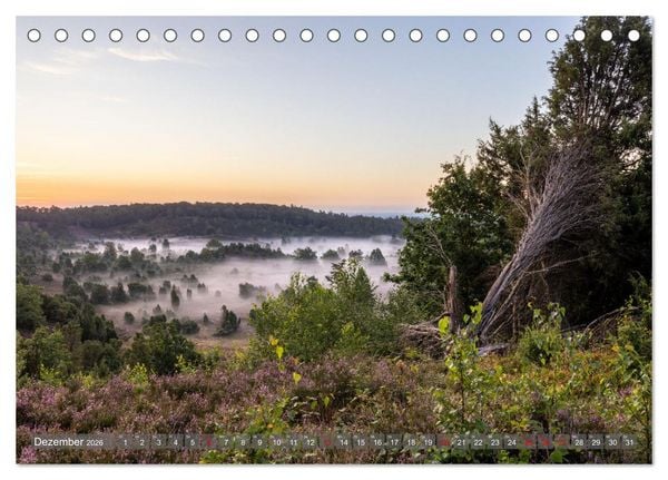Produktbild: Die L&uuml;neburger Heide - In voller Bl&uuml;te (Tischkalender 2026 DIN A5 quer), CALVENDO Monatskalender