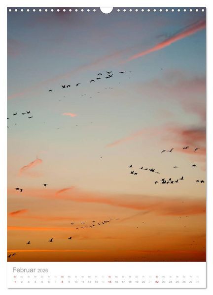 Produktbild: Der Flug der Kraniche (Wandkalender 2026 DIN A3 hoch), CALVENDO Monatskalender