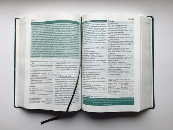 Produktbild: Die Bibel mit Impulsen von Joyce Meyer