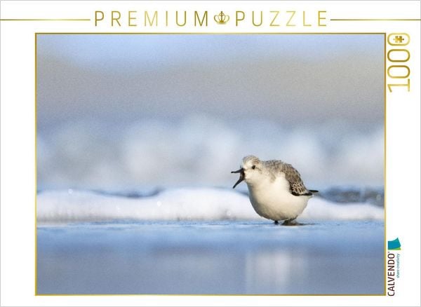 CALVENDO Puzzle Basstölpel (Gannet) | 1000 Teile Lege-Größe 64x48cm Foto-Puzzle für glückliche Stunden