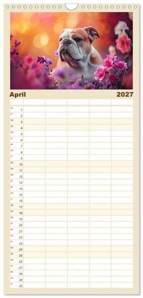 Produktbild: Familienplaner 2027 - Englische Bulldoggen im Bl&uuml;tenmeer mit 5 Spalten (Wandkalender, 21 x 45 cm) CALVENDO