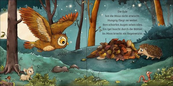 Produktbild: Mein erstes Naturbuch - Die Eule