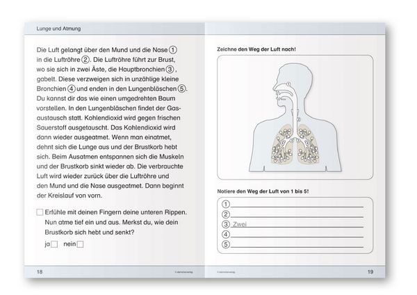 Produktbild: Ich kenne meinen Körper - Blutkreislauf Atmung