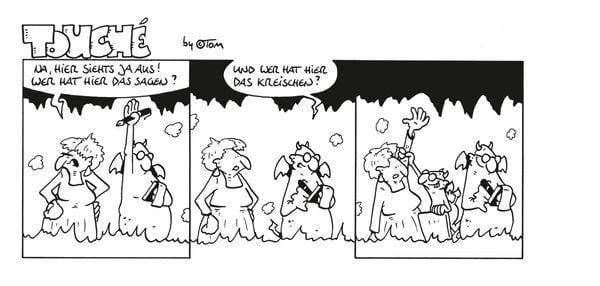 Produktbild: TOM Touch&eacute; 7000