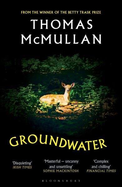 Produktbild: Groundwater