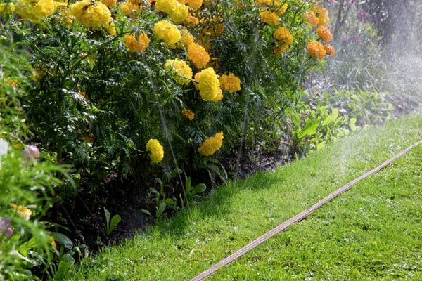 Produktbild: Gardena - Spr&uuml;hschlauch - 15 m - in verschiedenen