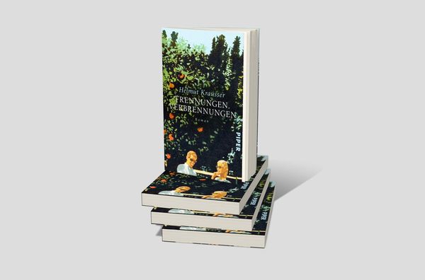 Produktbild: Trennungen. Verbrennungen