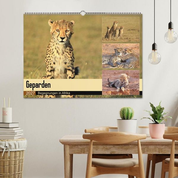 Produktbild: Geparden - Begegnungen in Afrika (Wandkalender 2027 DIN A2 quer), CALVENDO Monatskalender