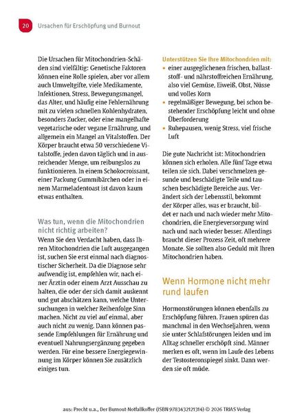 Produktbild: Der Burnout-Notfallkoffer