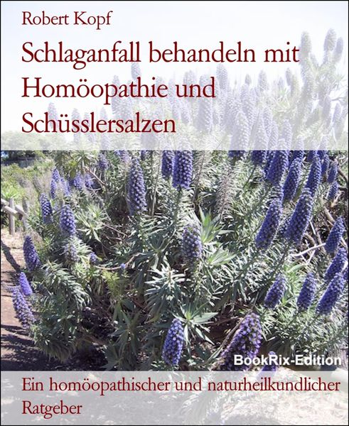 Produktbild: Schlaganfall behandeln mit Hom&ouml;opathie und Sch&uuml;sslersalzen
